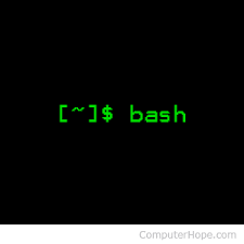 bash Tips